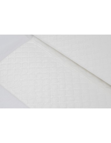 Pads Absorbentes Unistar 10 ud